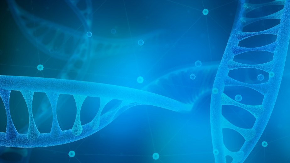 Kinase靶點模型構(gòu)建